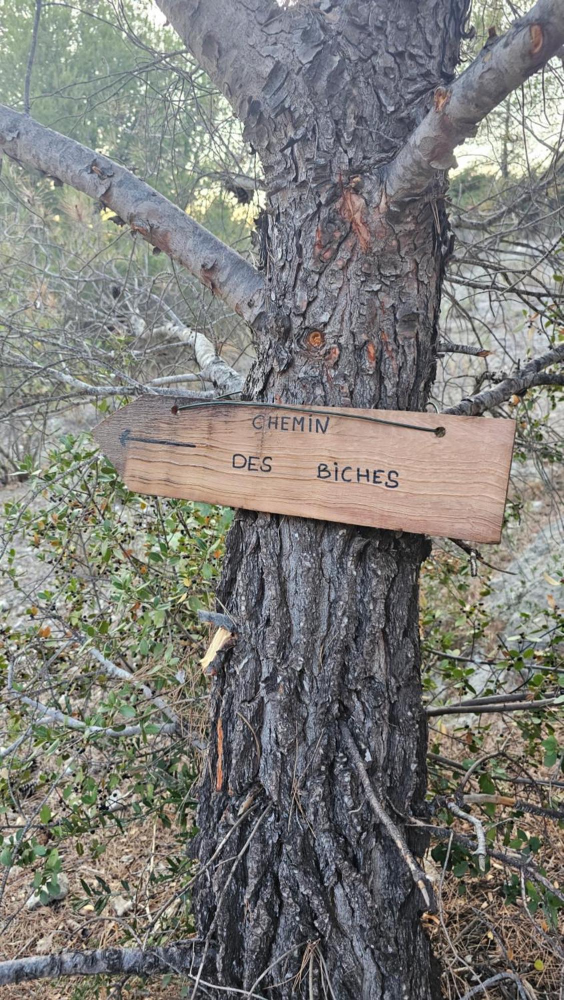 Maison Allauch La Gloire De Mon Pere Eksteriør bilde